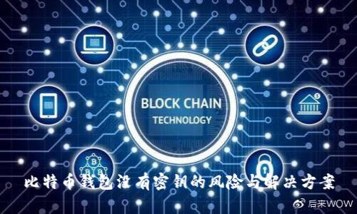 比特币钱包没有密钥的风险与解决方案