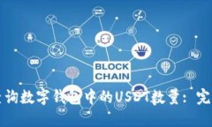 如何查询数字钱包中的USDT数量: 完整指南