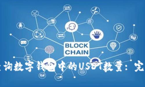 如何查询数字钱包中的USDT数量: 完整指南