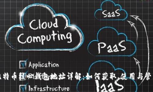 比特币核心钱包地址详解：如何获取、使用与管理