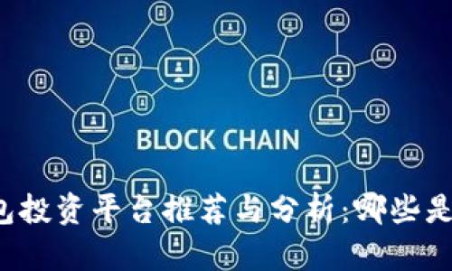 区块链钱包投资平台推荐与分析：哪些是优质选择？