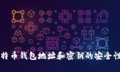 深入了解比特币钱包地址和密钥的安全性与使用