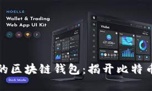 如何选择适合你的区块链钱包：揭开比特币钱包的神秘面纱