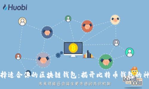 如何选择适合你的区块链钱包：揭开比特币钱包的神秘面纱