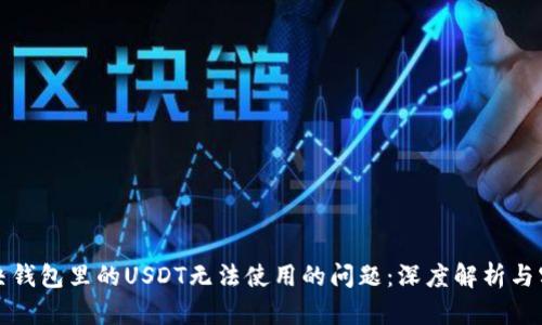 如何解决钱包里的USDT无法使用的问题：深度解析与实用指南
