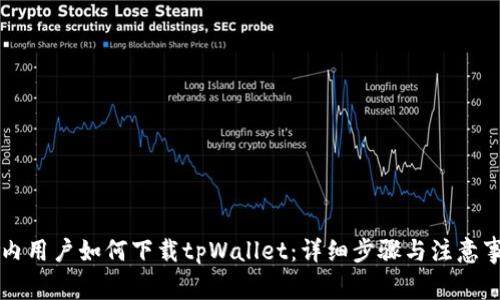 国内用户如何下载tpWallet：详细步骤与注意事项