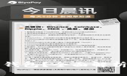 为什么选择比特币钱包？全面解析其功能与使用优势