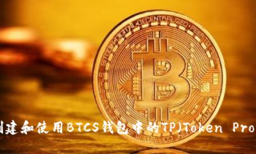 如何创建和使用BTCS钱包中的TP（Token Protocol）