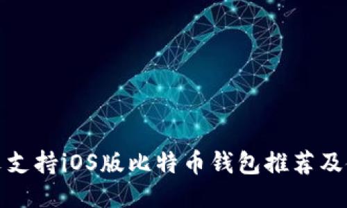 最全中文支持iOS版比特币钱包推荐及使用指南