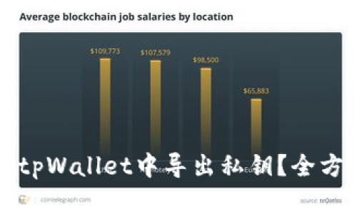 如何在tpWallet中导出私钥？全方位指南