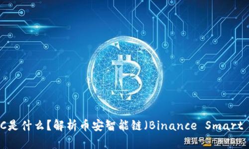 tpWallet中的BSC是什么？解析币安智能链（Binance Smart Chain）及其优势
