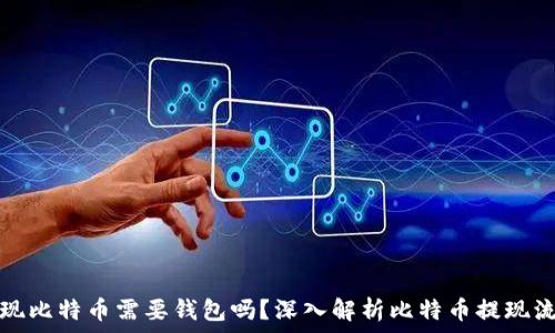  
提现比特币需要钱包吗？深入解析比特币提现流程