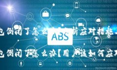 虚拟币钱包倒闭了怎么办？分析应对措施与风险