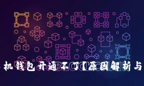 虚拟币手机钱包开通不了？原因解析与解决方案