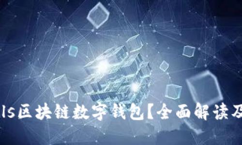 什么是Puls区块链数字钱包？全面解读及使用指南