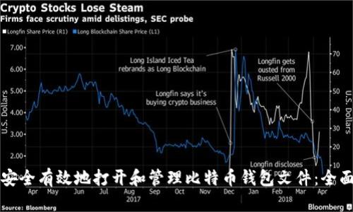如何安全有效地打开和管理比特币钱包文件：全面指南