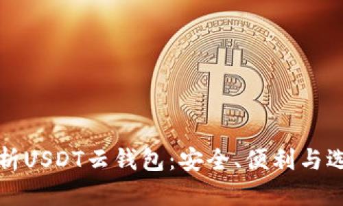 全面解析USDT云钱包：安全、便利与选择指南