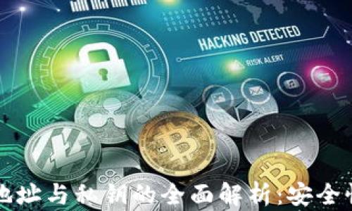 
比特币钱包地址与私钥的全面解析：安全性与使用指南