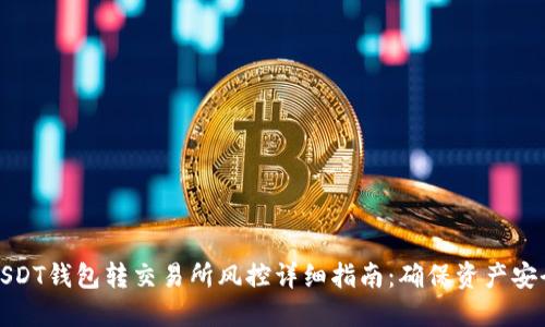 USDT钱包转交易所风控详细指南：确保资产安全