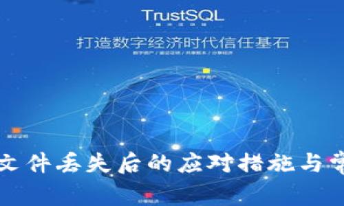 比特币钱包文件丢失后的应对措施与常见问题解答