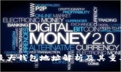 比特币最大钱包地址解析及其重要性分析