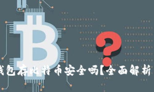 Token.im钱包存比特币安全吗？全面解析与用户指南