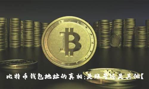 比特币钱包地址的真相：是账号还是其他？