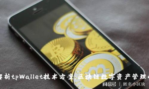全面解析tpWallet技术方案：区块链数字资产管理的未来