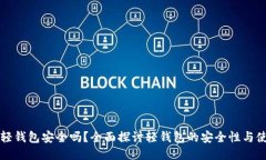 比特币轻钱包安全吗？全面探讨轻钱包的安全性