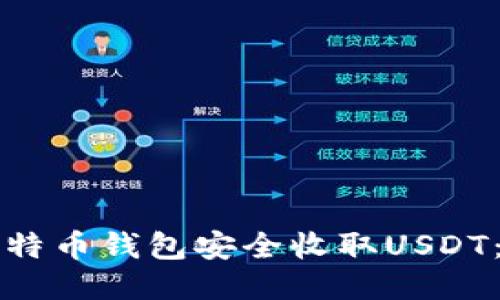 如何利用比特币钱包安全收取USDT：全方位指南