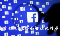 买比特币时该选择什么钱包？全面解读比特币钱