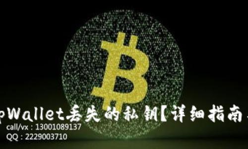 如何找回tpWallet丢失的私钥？详细指南与解决方案