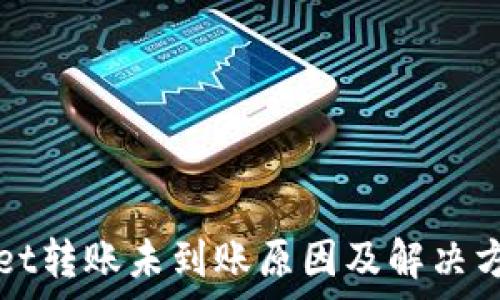   
tpWallet转账未到账原因及解决方案详解