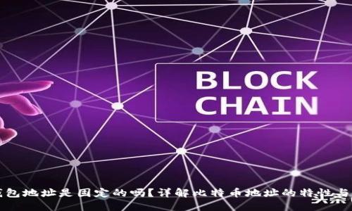 比特币钱包地址是固定的吗？详解比特币地址的特性与使用场景