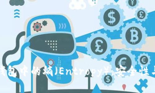 如何理解比特币钱包中的熵（Entropy）：安全性与随机性的重要性