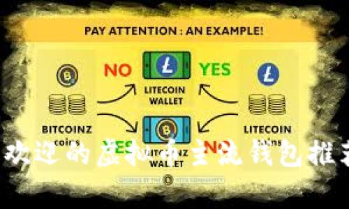 2023年最受欢迎的虚拟币主流钱包推荐与深入分析