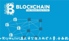 如何tpWallet在火币公链上的矿工费：全面指南