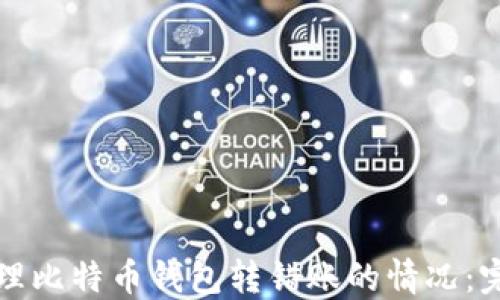 
如何处理比特币钱包转错账的情况：完整指南