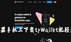 如何在苹果手机上下载tpWallet视频：完整指南
