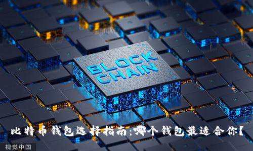 比特币钱包选择指南：哪个钱包最适合你？