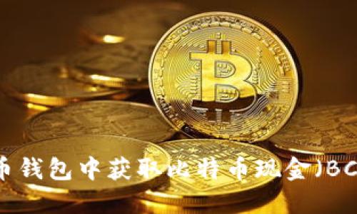 如何在比特币钱包中获取比特币现金（BCC）：全面指南