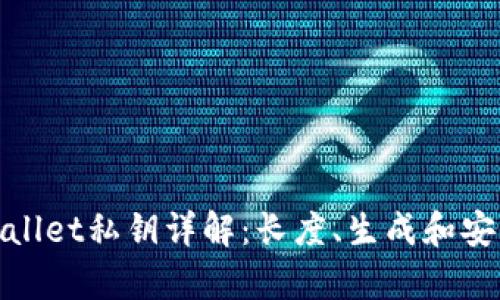 tpWallet私钥详解：长度、生成和安全性