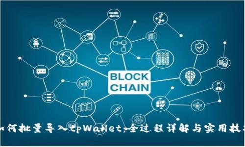 如何批量导入tpWallet：全过程详解与实用技巧