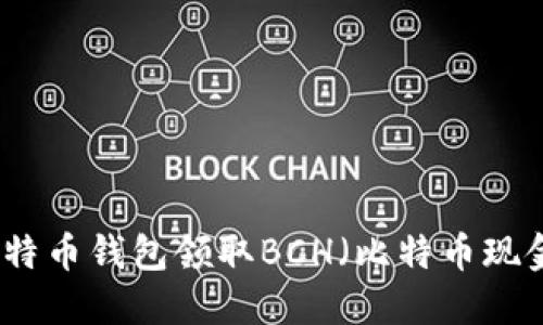 如何通过比特币钱包领取BCH（比特币现金）详细指南