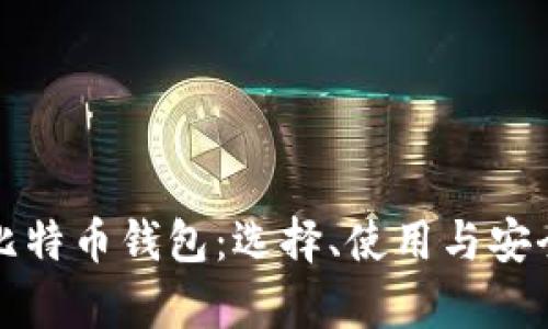全面解析比特币钱包：选择、使用与安全性全指南