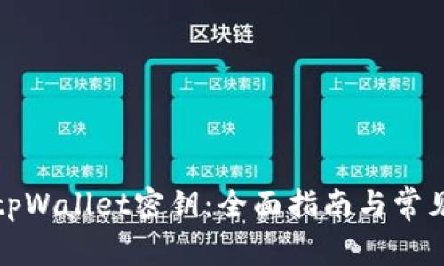 如何找回tpWallet密钥：全面指南与常见问题解答