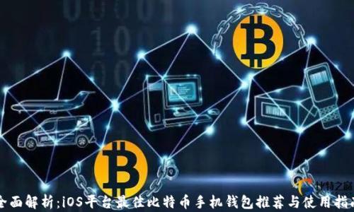 
全面解析：iOS平台最佳比特币手机钱包推荐与使用指南