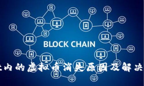 tpWallet内的虚拟币消失原因及解决方法详解