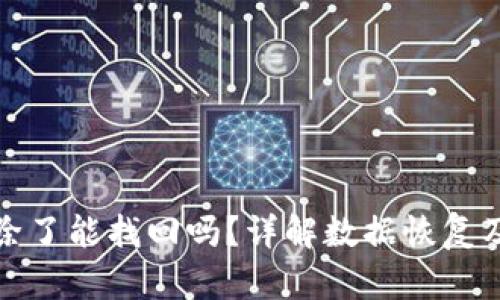 区块链删除了能找回吗？详解数据恢复及保护措施